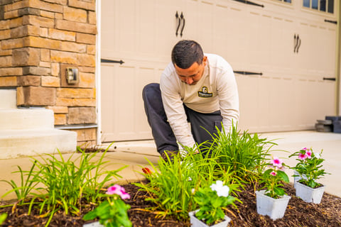 crew team planting flowers 4