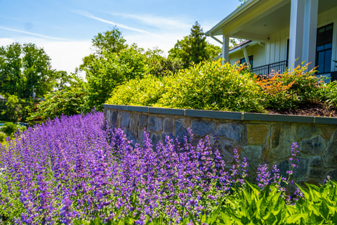 wall landscaping planting 7