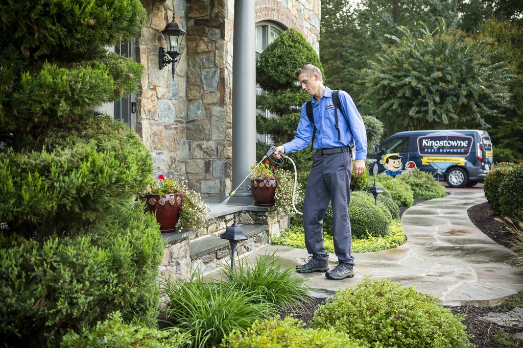 Pest Control Services | Alexandria, Springfield, & Arlington, VA ...
