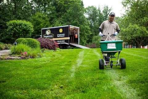 lawn-care-treatment-granular-spreader-6