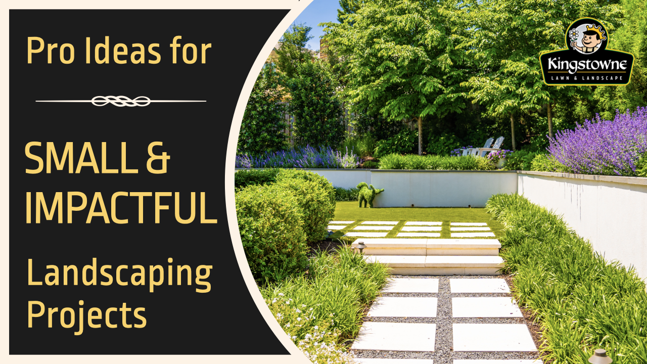 Landscape Lighting Cost - Landscaping Network