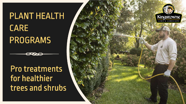Plant Health Care - Tree and Shrub Spraying Alexandria, Arlington,  Springfield, VA